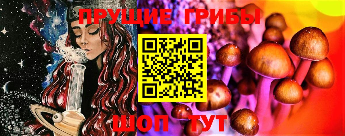 Ейск  Псилоцибиновые грибы Psilocybine cubensis  Псилоцибиновые грибы Cubensis  Вход с VPN 